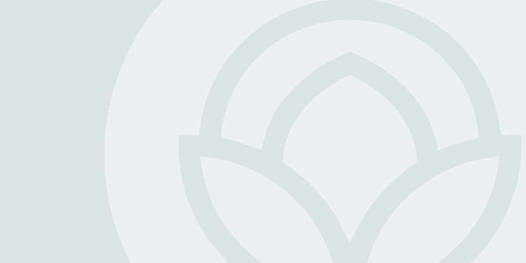 The Boy and the Heron